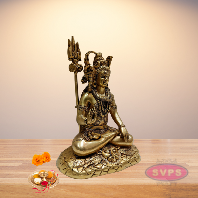 Brass Shiv Shankar In Meditating Pose