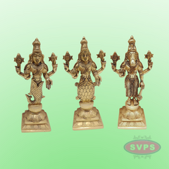 Brass Vishnu Dashavatara Set / 10 Inches
