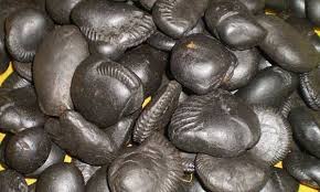 Shaligram Stones - The Most Unique Form Of Lord Vishnu