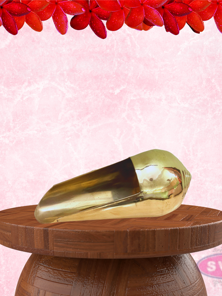 Brass Abisheka Sangu / Thiruvaradhana Sangu