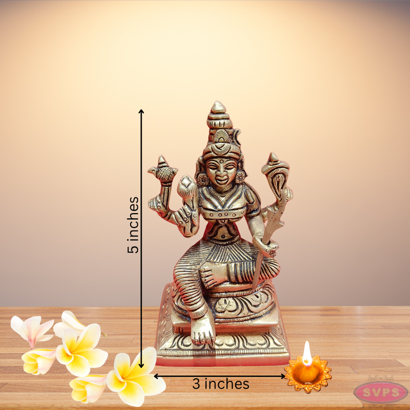Brass Kamatchi Amman Idol / Home Altar