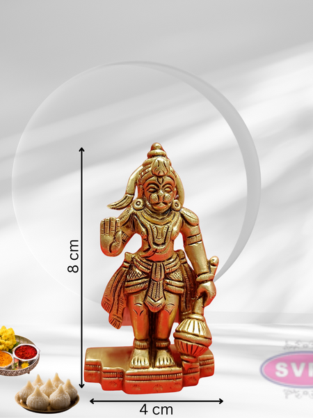 Brass Sanjeevi Hanuman Small Size