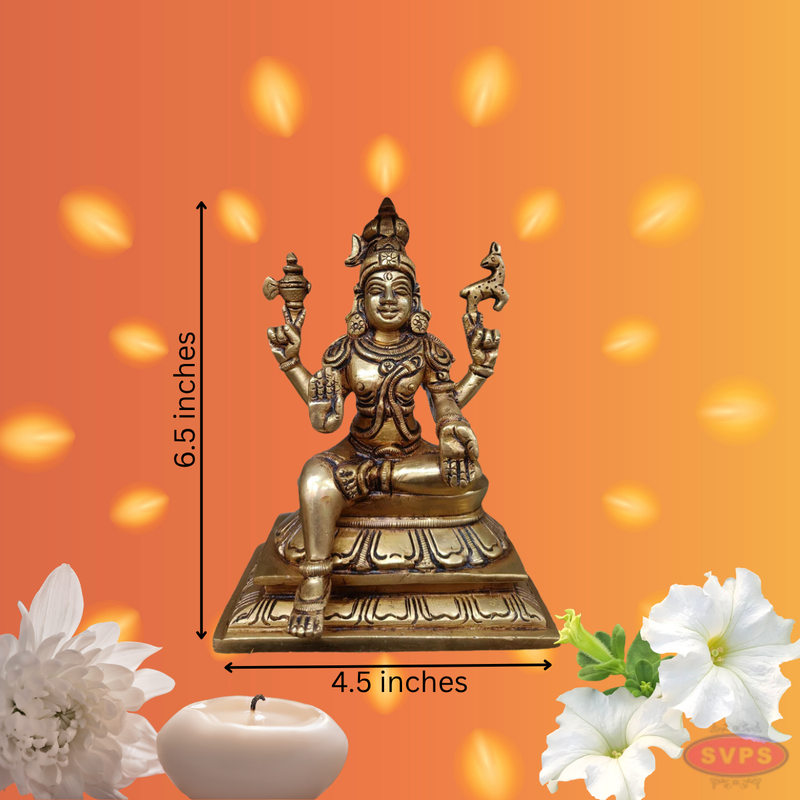 Brass Shivan Parvathi Idols/ Home Altar