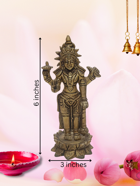 Brass Sri Vishnu On Lotus / Home Altar