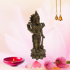 Brass Sri Vishnu On Lotus / Home Altar
