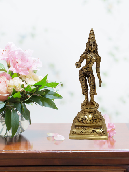 Brass Shiva Nataraja with Goddess Statue Combo