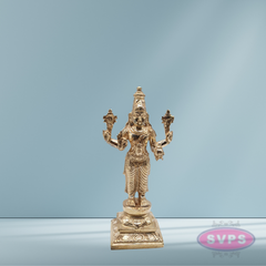 Panchaloga Bhagawan Vishnu as Dhanvantari Idol