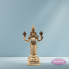Panchaloga Bhagawan Vishnu as Dhanvantari Idol