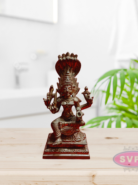 Panchalogam Devi Karumariamman Idol