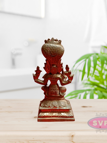 Panchalogam Devi Karumariamman Idol