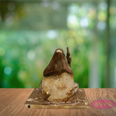 Panchaloha Adi Shankaracharya swamy Idol