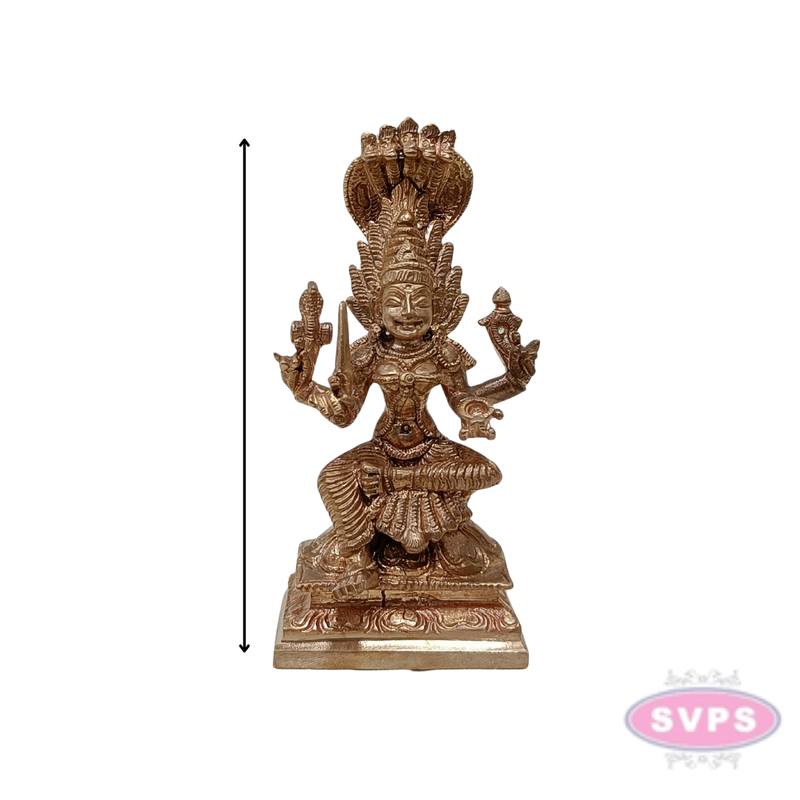 Panchalogam Devi Karumariamman Idol