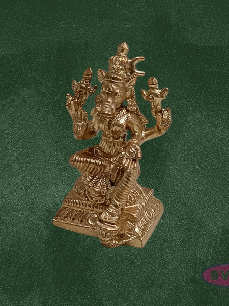 Panchaloga Varahi Devi Statue
